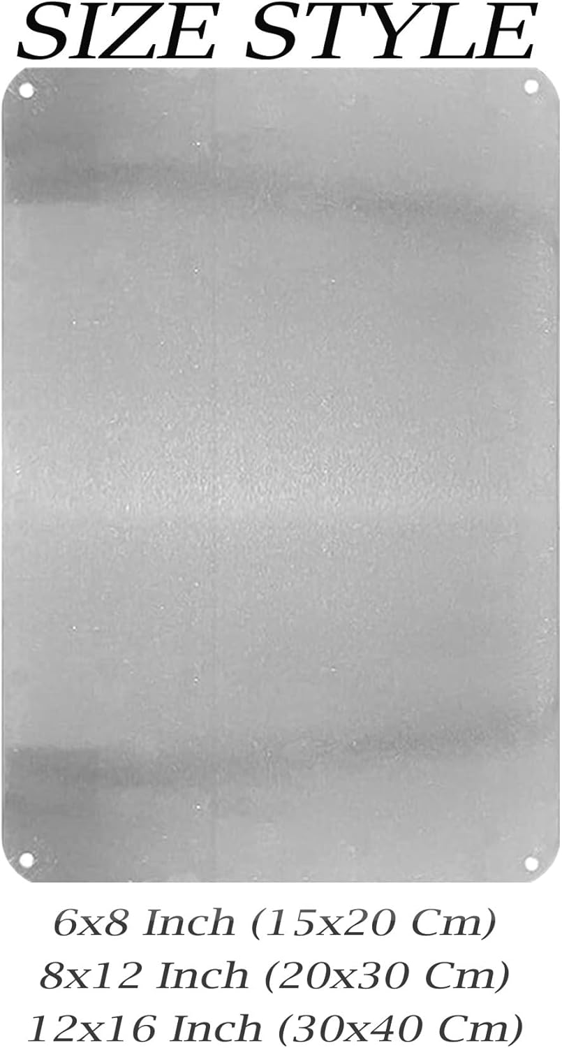 Divertido póster metálico para - Badminton Quotes Funny reseña y precio